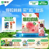 蒙牛真果粒白桃树莓味牛奶饮品240g×10盒 健康低脂 龚俊同款送礼礼盒