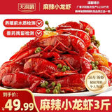 天海藏麻辣小龙虾1.5kg 2026年新虾3-5钱小龙虾整虾加热即食海鲜烧烤