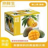 京鲜生 攀枝花【即食】凯特芒 5斤装 单果400g以上 生鲜水果