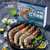 禧美海产红爪对虾350g/盒 6只装 深海捕捞 斑节虾大虾 送礼海鲜水产国庆