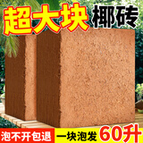 临雅大块椰砖营养土养花通用型椰糠椰土壤种菜专用粗椰壳耶砖花土种植 大块椰砖5块【9斤泡发大约60升】