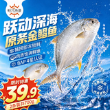 恒兴食品原条金鲳鱼净重700g/共2条装BAP认证送礼纯鱼肉