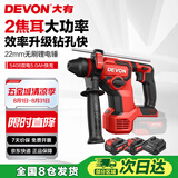 大有（Devon）20V锂电无刷充电锤冲击混凝土打瓷砖轻锤钻两功能5408双电5.0快充