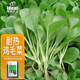 ldeal理想农业 速生鸡毛菜种子夏季耐热小白菜籽阳台盆栽易种蔬菜种子