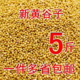 炫料鹦鹉鸟粮饲料珍珠鸟粮食大颗粒新黄谷子鸟食虎皮玄凤牡丹带壳小米 带壳黄谷子2500克5斤 无化学淘洗不打腊天然农家货