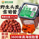 神农金康昆仑雪菊135g 正宗新疆特级搭野生 胎菊花茶 特级天山血菊 养生茶