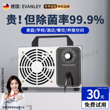 EVANLEY德国臭氧发生器消毒机家用空气净化器工业食品厂汽车杀菌除甲醛 5g/h（50平方）