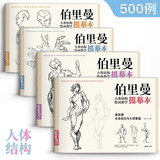 伯里曼人体结构教学描摹本【4册全套】 正版速写人物结构绘画练习教程教材 杨建飞主编