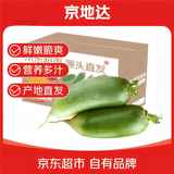 京地达山东正宗青萝卜水果萝卜净重5斤单果200g+爽脆鲜嫩源头直发包邮