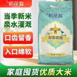 稻花翁京泰香米20斤南方优质大米籼米湖北特色长粒大米当季新米