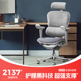 Ergonor保友金豪b雄鹰 人体工学椅 电脑椅 电竞椅办公椅子可躺老板椅 【金豪b雄鹰】银白网(云感科技坐垫)
