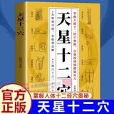 天星十二穴 天星十二穴正版书中医保健经典书籍 针灸基础穴位口诀传统技法轻松自学书籍掌握人体十二经穴奥秘自我按摩成健康达人