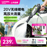 绿田（LUTIAN） 锂电洗车机E2Pro  E4无线充电手持清洗机高压洗车水枪家用 200W 【标准版】壶+飞雪+可乐瓶接头