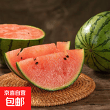 【东东农场专供】2k西瓜网红小糖丸西瓜麒麟西瓜脆甜整箱包邮 小糖丸5-6斤净重5斤+