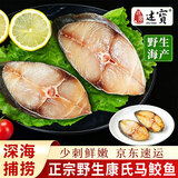 述宝海南特产正宗海鲜马鲛鱼切片生鲜中段鱼肉原味带鱼段冷冻生鲜礼盒 不腌制马鲛鱼500g*4袋