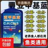 亚甲基蓝鱼药水族箱鱼缸消毒杀菌观赏鱼锦鲤白点烂身烂尾专用鱼药 200ml/瓶【1瓶】送量杯