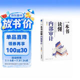一本书读懂内部审计（故事化呈现企业内部审计工作流程与实操知识）
