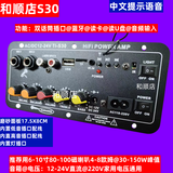 低音炮功放板大功率车载家用12V24V220V内置蓝牙插卡USB音频话筒 S30性价比款(接6-10寸低音)
