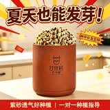 甘泉村食品级紫砂豆芽罐全自动家用豆芽机生豆芽发芽神器土陶罐四季可用 小款土陶豆芽罐（发2斤豆芽）