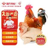 温氏供港农养大公鸡净重2.4斤 100天冷冻 适配莫氏鸡煲原料食材散养