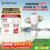 滨特尔（pentair）前置过滤器大通量家用全屋自来水管道过滤器大流量净水器排行前十名水驱涡轮+反冲洗刮洗净水器 【上门安装】S160大通量