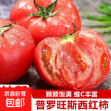 【减脂首负】正宗甘肃武威普罗旺斯西红柿即食生吃番茄蔬菜沙拉 尝鲜装 1斤 净重 普罗旺斯【儿时味道】