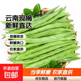 农家四季豆新鲜现摘云南长扁豆角农家应当季蔬菜芸豆现摘菜豆 新鲜四季豆300g