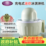 诺思得其冰淇淋机可插电可充电使用儿童节礼物玩具可带露营家用小型全自动冰淇淋机