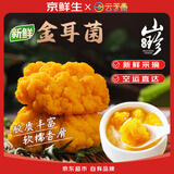京鲜生云南新鲜金耳净重1.5斤鲜菌菇刺身煲汤火锅食材源头直发