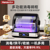 韓加(Hanze)韩加消毒柜家用小型台式餐具保洁柜碗柜厨房收纳柜碗筷刀具消毒烘干一体机紫外线消毒碗柜 一星级 55L 刀筷篮【加强紫外杀菌+热风烘干+净味】