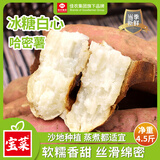 佳农河南哈密白薯果100g+冰糖白心红薯净重4.5斤白哈密地瓜源头直发