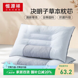 恒源祥枕头决明子抗菌颈椎枕单人睡觉硬枕头枕头芯整头一只装48*74cm