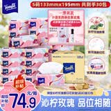 得宝（TEMPO）有香抽纸 沁柠玫瑰味 4层加厚80抽*30包 S码 湿水柔韧 纸巾