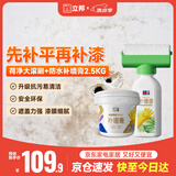 立邦墙面修复补墙膏荷净补墙漆防水防霉抗菌腻子膏白色 500g+2.5kg