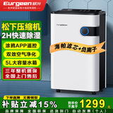 欧井（Eurgeen）除湿机/抽湿机 除湿量22升/天 回南天家用地下室净化杀菌智控除湿器 OJ-223E