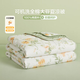 博洋家纺夏凉被抑菌可水洗全棉空调被纯棉夏季被子 约2.2斤150*210cm