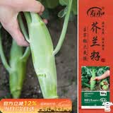 寿禾鸡腿芥兰种子苗芥蓝四季蔬菜籽 肥翠七号(鸡腿芥兰)种子30g*2袋