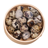 禾源雅乐 新鲜生鹌鹑蛋 鹑鸟蛋生鲜鹌鹑蛋富含高蛋白早餐营养美味食品礼物 50枚