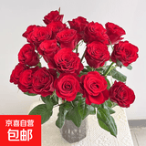 云南基地直发玫瑰鲜花全国速递配女友生日礼物家用水养插京东快递 红玫瑰(16支+4支防损耗)+送保鲜剂