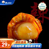 渔大叔 海鲜零食即食扇贝肉干肉脯高蛋白下酒菜大连特产 香辣湾仔贝169g