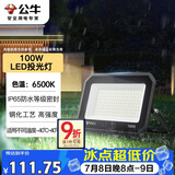 公牛（BULL）LED投光灯户外庭院工厂园林灯露营灯 IP65防水等级100W-6500K白光