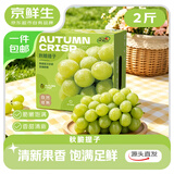 京鲜生 云南秋天脆提子 净重2斤装 葡萄/提子 水果礼盒 源头直发包邮