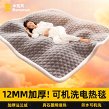 半弦月【高温断电】可水洗石墨烯电热毯褥子加热垫单双人1.8x2米双温控 双人-12mm厚绒【200x180适2m床】