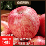 京喜加正宗山东红富士苹果脆甜可口好吃不贵整箱发货生鲜水果丑苹果超市 中果70-75mm 1斤【含箱】净重0.6斤 京东快递-更快更好
