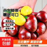京喜加丹东新鲜板栗糖炒栗子原料糯甜板栗可生吃新鲜蔬菜生鲜 丹东鲜板栗 3斤 畅销装