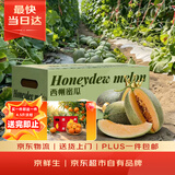 京鲜生 哈密瓜西州蜜/西周蜜 3-4粒 净重10-12斤 生鲜水果礼盒 