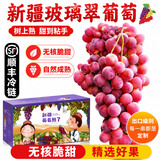 【顺丰】新疆葡萄 火焰玻璃翠无核三色白葡萄脆甜马奶提子水果 玻璃翠 4斤净重 精品果【自吃划算】