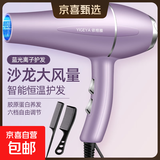 发廊大风吹风机家用大功率速干蓝光负离子电吹风机冷热风护发静音 1200W【超强飓风】优雅紫