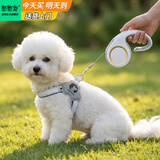 憨憨宠狗绳 狗链牵引绳胸背带套装自动伸缩遛狗绳子中小型犬宠物用品 青灰色款狗链胸背带两件套 大号5米 胸背S号建议体重8-12斤