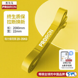 PROIRON普力艾 弹力带阻力带 男女健身练腿引体向上助力带瑜伽拉伸拉力带